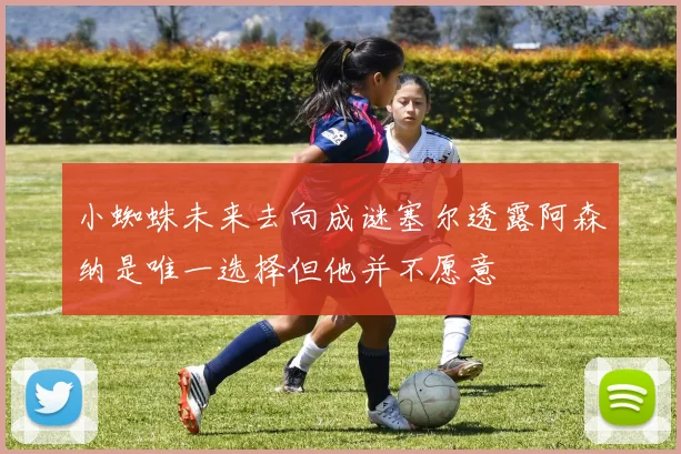 小蜘蛛未来去向成谜塞尔透露阿森纳是唯一选择但他并不愿意